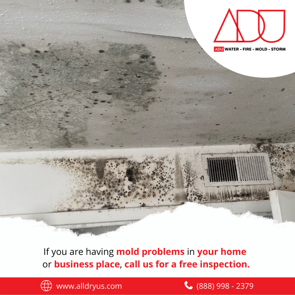 Slide of ADU Water Fire Mold Storm