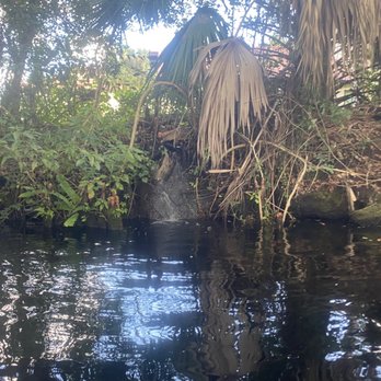 Coconut Kayak Tours - Rafting/Kayaking Near Me - Clearwater Beach, Florida