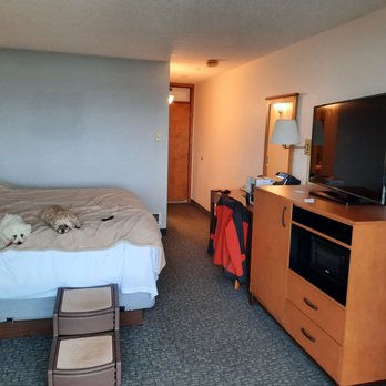 The Allred - King pet friendly room - Hotels Near Me - Newport, Oregon