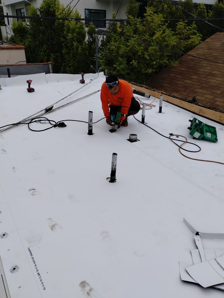 Slide of Mr Roofing Specialist