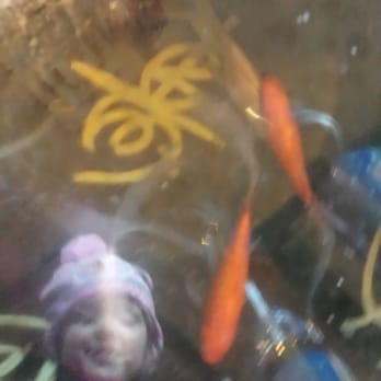 On the Bean - My daughter's reflection as she admires the "fish pond table". - Coffee & Tea Near Me - Aurora, Ontario
