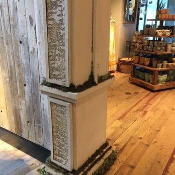 Anthropologie - Decorative mossssssssssss - Women's Clothing Near Me - Dedham, Massachusetts Anthropologie - Decorative mossssssssssss - Women's Clothing Near Me - Dedham, Massachusetts
