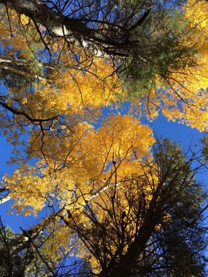 Hyde Memorial State Park by null