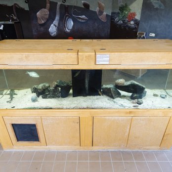 Hayward Shoreline Interpretive Center - shark inside - Beaches Near Me - Hayward, California Hayward Shoreline Interpretive Center - shark inside - Beaches Near Me - Hayward, California