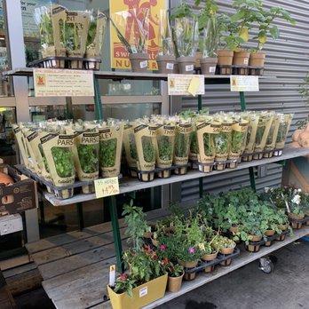 Berkeley Bowl West - Cafes Near Me - Berkeley, California Berkeley Bowl West - Cafes Near Me - Berkeley, California