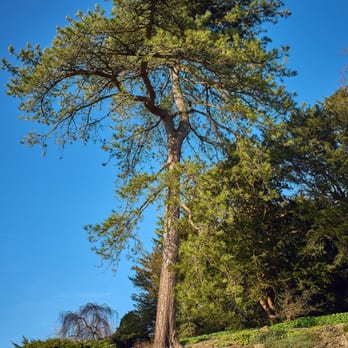 Dyffryn Gardens - Parks Near Me - Cardiff, CRF
