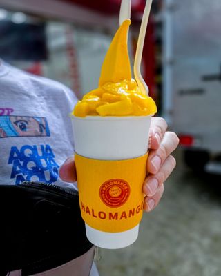 Halomango beach by null