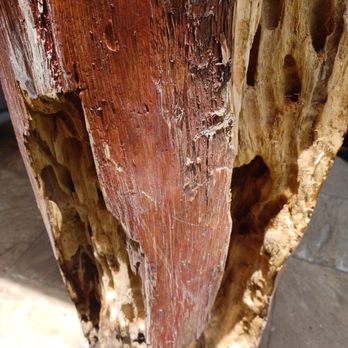 Magic Brush Painting - July 9th. Extensive damage throughout lower portion of Ohia post - Painters Near Me - Kailua-Kona, Hawaii Magic Brush Painting - July 9th. Extensive damage throughout lower portion of Ohia post - Painters Near Me - Kailua-Kona, Hawaii
