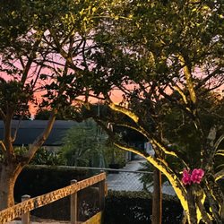 Royd’s  - Beautiful Sunset from our one of our Dog parks