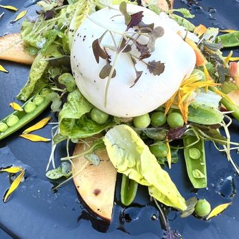 Osteria Divino - Burrata - Italian Near Me - Sausalito, California Osteria Divino - Burrata - Italian Near Me - Sausalito, California