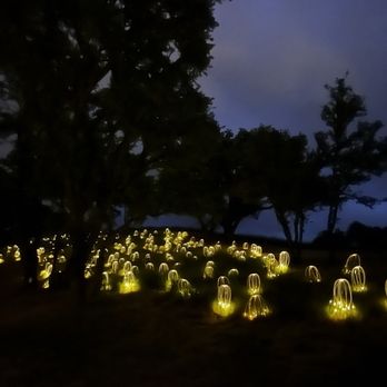 Sensorio - Art Galleries Near Me - Paso Robles, California