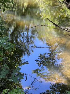 Champoeg State Park by null