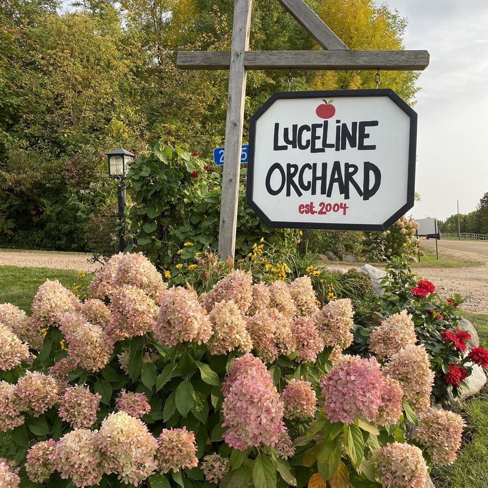 Luceline Orchard - CSA Near Me - Watertown, Minnesota