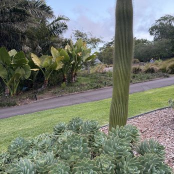 Royal Botanic Gardens - Botanical Gardens Near Me - Sydney, NSW