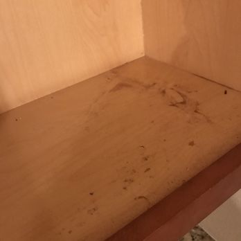 Tidy - Home Cleaning Near Me Tidy - Home Cleaning Near Me