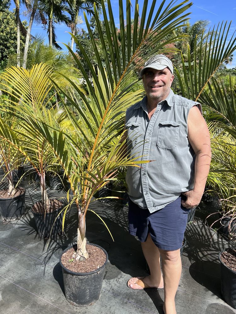 Aguazul Nursery - tree service in Miami, FL