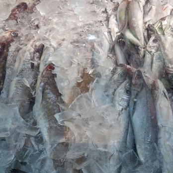 Today's Crabhouse - a bunch of fish in ice - Seafood Near Me - Oxon Hill, Maryland Today's Crabhouse - a bunch of fish in ice - Seafood Near Me - Oxon Hill, Maryland
