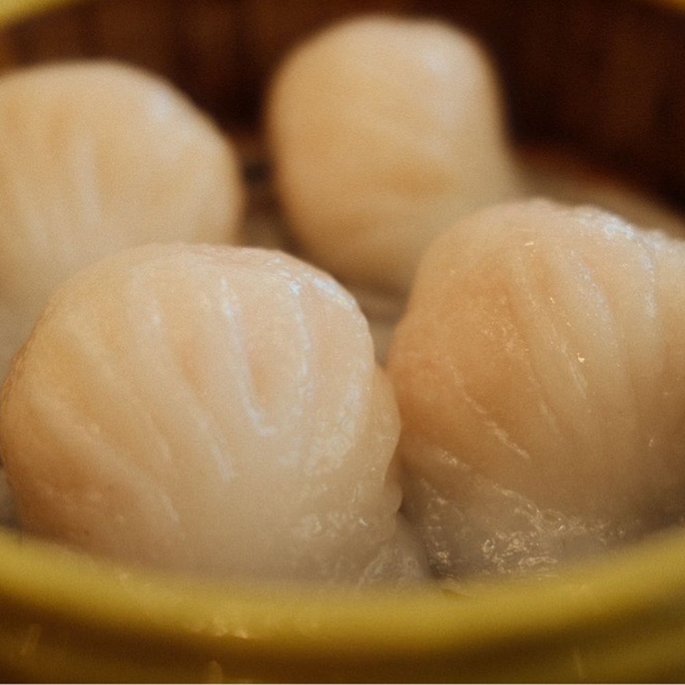 Dimsum Palace - shrimp shu mai - Cantonese Near Me - Catonsville, Maryland