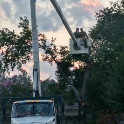 Rowland Tree Service