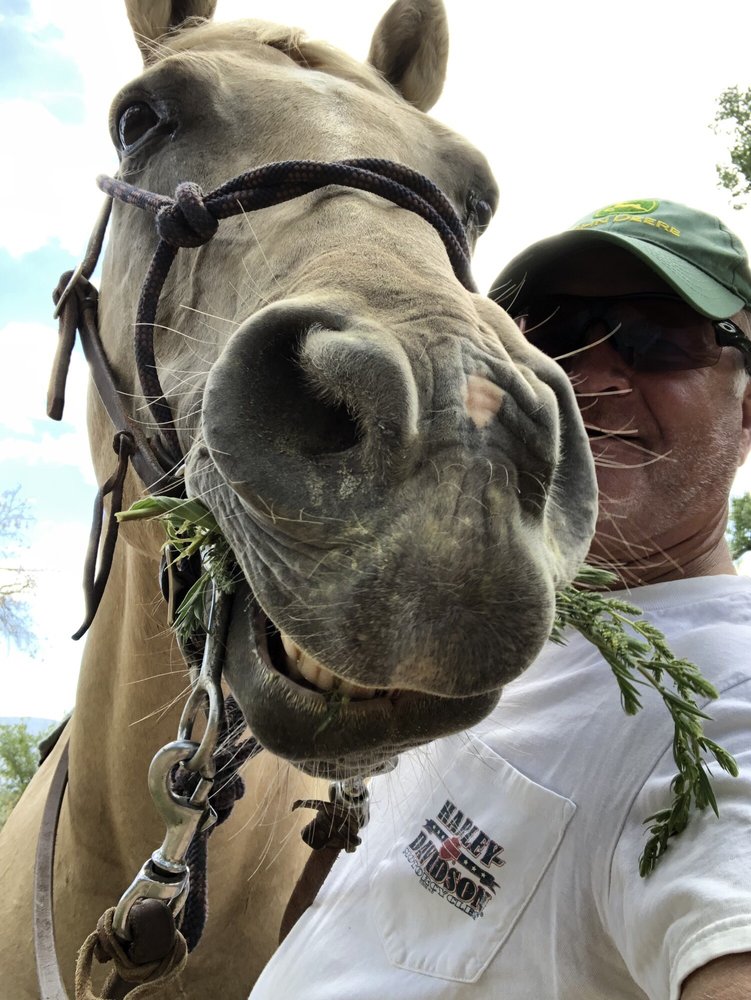 RED HORSE RIDING COMPANY 10 Photos 149 Angelo Luigi Rd, Corrales