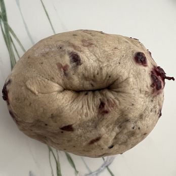 Noah's NY Bagels - Poorly cooked bagel. - Bagels Near Me - Walnut Creek, California Noah's NY Bagels - Poorly cooked bagel. - Bagels Near Me - Walnut Creek, California