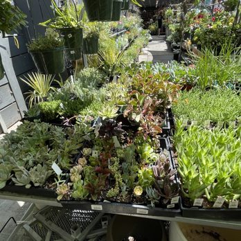Chase Ace Hardware Garden & Gift - Hardware Stores Near Me - San Rafael, California
