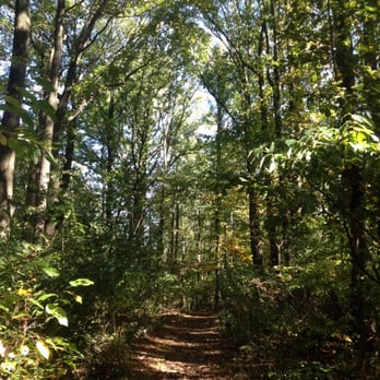 Greenbelt Conservancy - Parks Near Me - Staten Island, New York