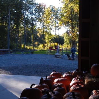 Schartner Farms - From the barn looking out. - Farmers Market Near Me - Bolton, Massachusetts Schartner Farms - From the barn looking out. - Farmers Market Near Me - Bolton, Massachusetts