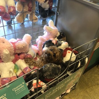 PetSmart Doggie Day Camp - Coco at Petsmart with the stuffed animals. Can you spot her? - Pet Stores Near Me - Bellevue, Washington PetSmart Doggie Day Camp - Coco at Petsmart with the stuffed animals. Can you spot her? - Pet Stores Near Me - Bellevue, Washington