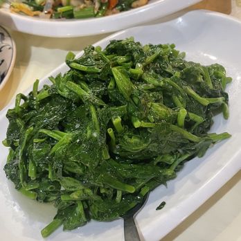 Everyday Authentic Chinese Cuisine - Stir Fry Pea Sprouts with Garlic Sauce - Chinese Near Me - East Lansing, Michigan Everyday Authentic Chinese Cuisine - Stir Fry Pea Sprouts with Garlic Sauce - Chinese Near Me - East Lansing, Michigan