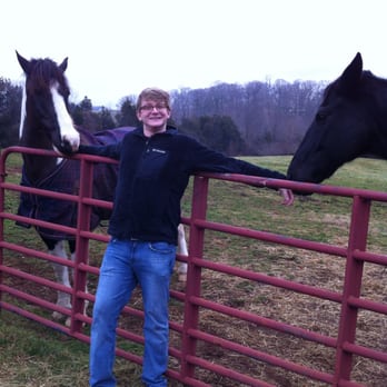 Black Horse Inn - Friendly horses - Hotels Near Me - Warrenton, Virginia Black Horse Inn - Friendly horses - Hotels Near Me - Warrenton, Virginia