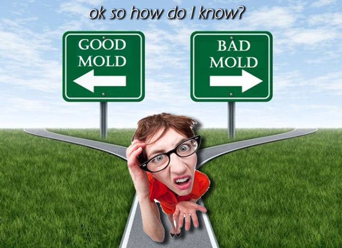 SOS Environmental - mold inspector in Camarillo, CA