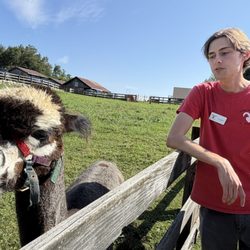 Apple Hill Farm - Tyler n Phantom