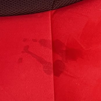 Top Speed - Auto Detailing Near Me