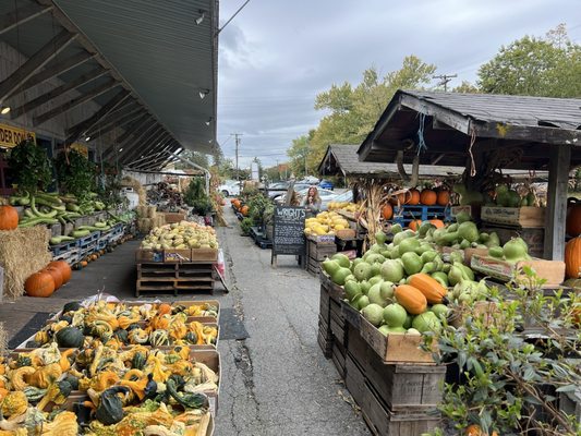 Wright's Farm by null