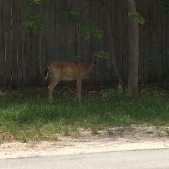 No Name Pub - Key Deer - American Near Me - Big Pine Key, Florida