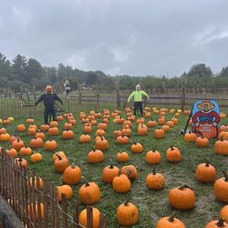 Belltown Hill Orchards