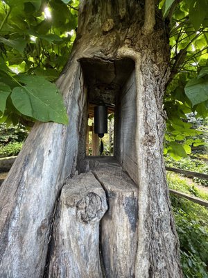 Cornell Botanic Gardens by null