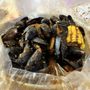 Photo of Crafty Crab - Atlantic