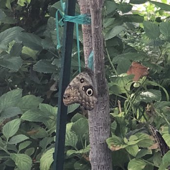 Reiman Gardens - Botanical Gardens Near Me - Ames, Iowa