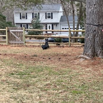 J Parral Contractor - Now my dog has plenty of space to roam around without escaping! - General Contractors Near Me