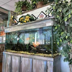 Greenhouse Cafe - Nice dining room