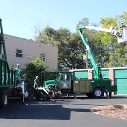 B&T's Tree Service