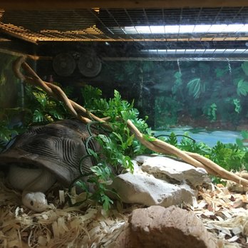 Austin Zoo - Zoos Near Me - Austin, Texas