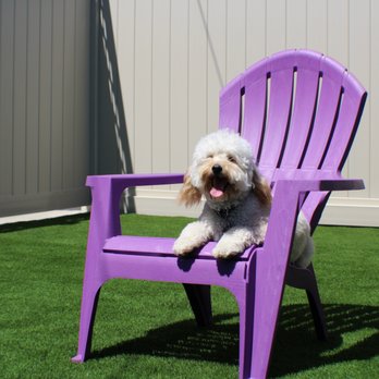 Bark Park - Pet Sitting Near Me - Spring Valley, California
