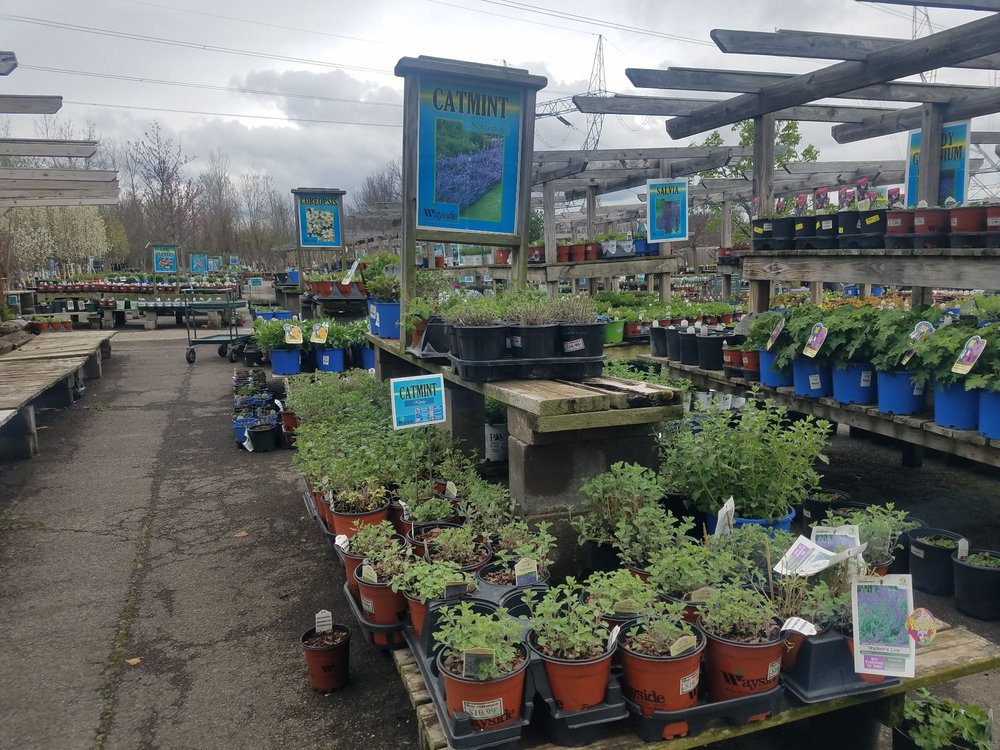 WAYSIDE GARDEN CENTER Updated October 2024 23 Photos & 21 Reviews