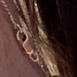 Runyan's Jewelers - My wearing my necklace, to prove the pot metal was not mine!