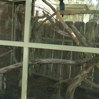 CALM Zoo - Zoos Near Me - Bakersfield, California