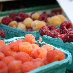 Downtown San Jose Farmers' Market - Vasquez Farm, from 2007 (ps. yes, i know it's a good looking photo - don't steal it without permission )
