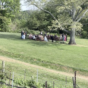 Montaluce Winery & Restaurant - The wedding party we saw - Venues & Event Spaces Near Me - Dahlonega, Georgia Montaluce Winery & Restaurant - The wedding party we saw - Venues & Event Spaces Near Me - Dahlonega, Georgia